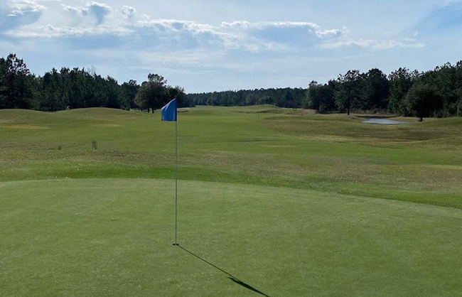 view of golf course with flag